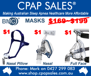 $1 Mask with any purcahse over $499 until the end of June 2014
